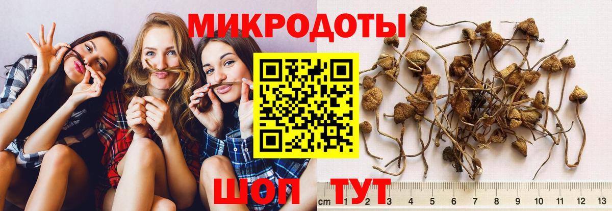 Дивногорск  Галлюциногенные грибы MAGIC MUSHROOMS  Вход с VPN 